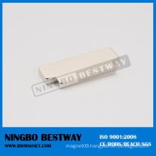 Customized Shape Neodymium Magnet